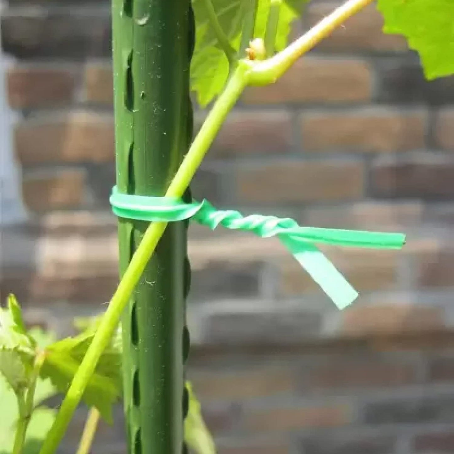 Garden Wire, Sturdy Plant Ties for Support, Garden Ties with Cutter for Tomatoes Vines, Plant Wire Tie Wire for Indoor, Outdoor, Home and Office Use (50 Mtr) Mihikart
