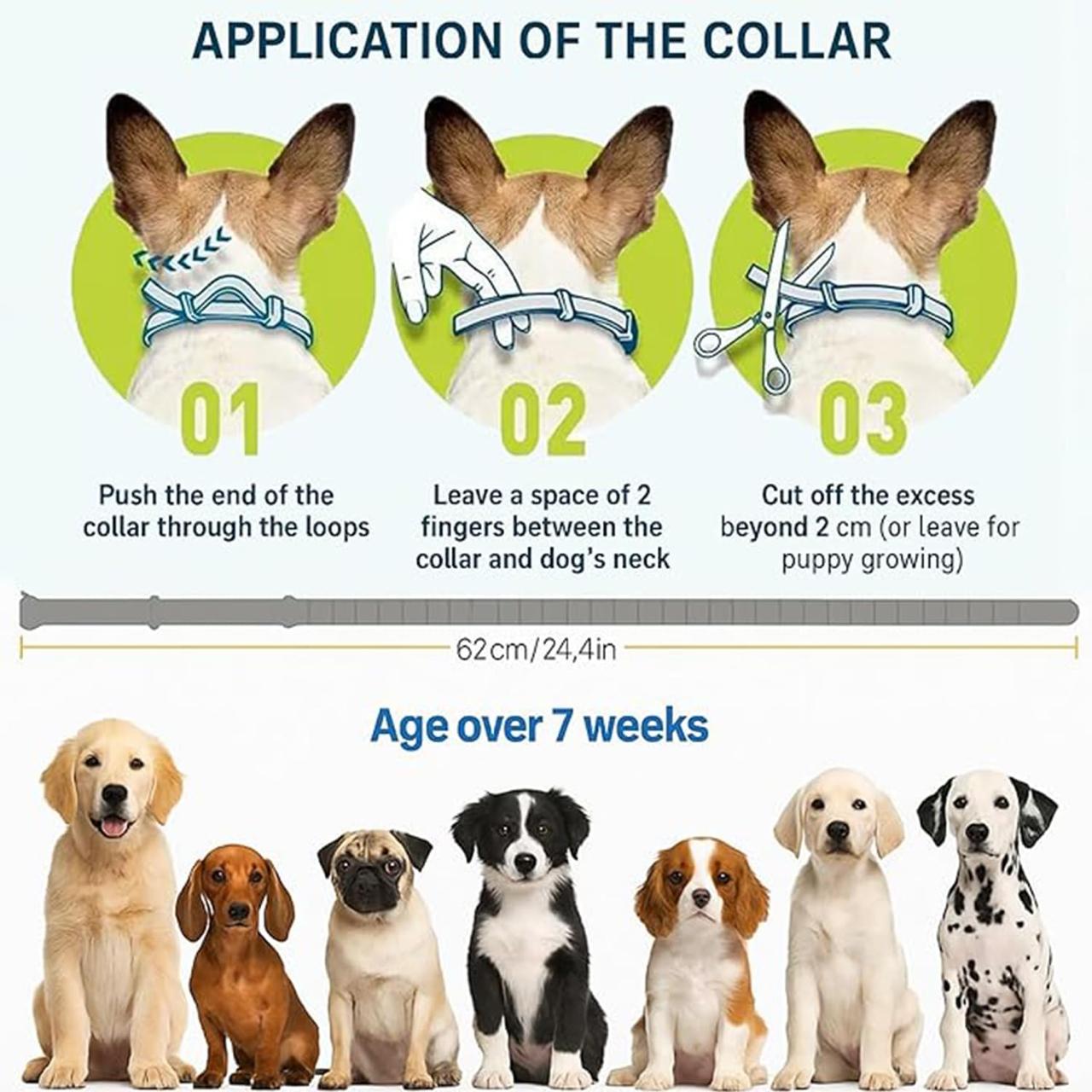 Dog Flea & Tick Protection Collar – 8 Month Long-Lasting, Adjustable & Waterproof ✅Trusted Seller