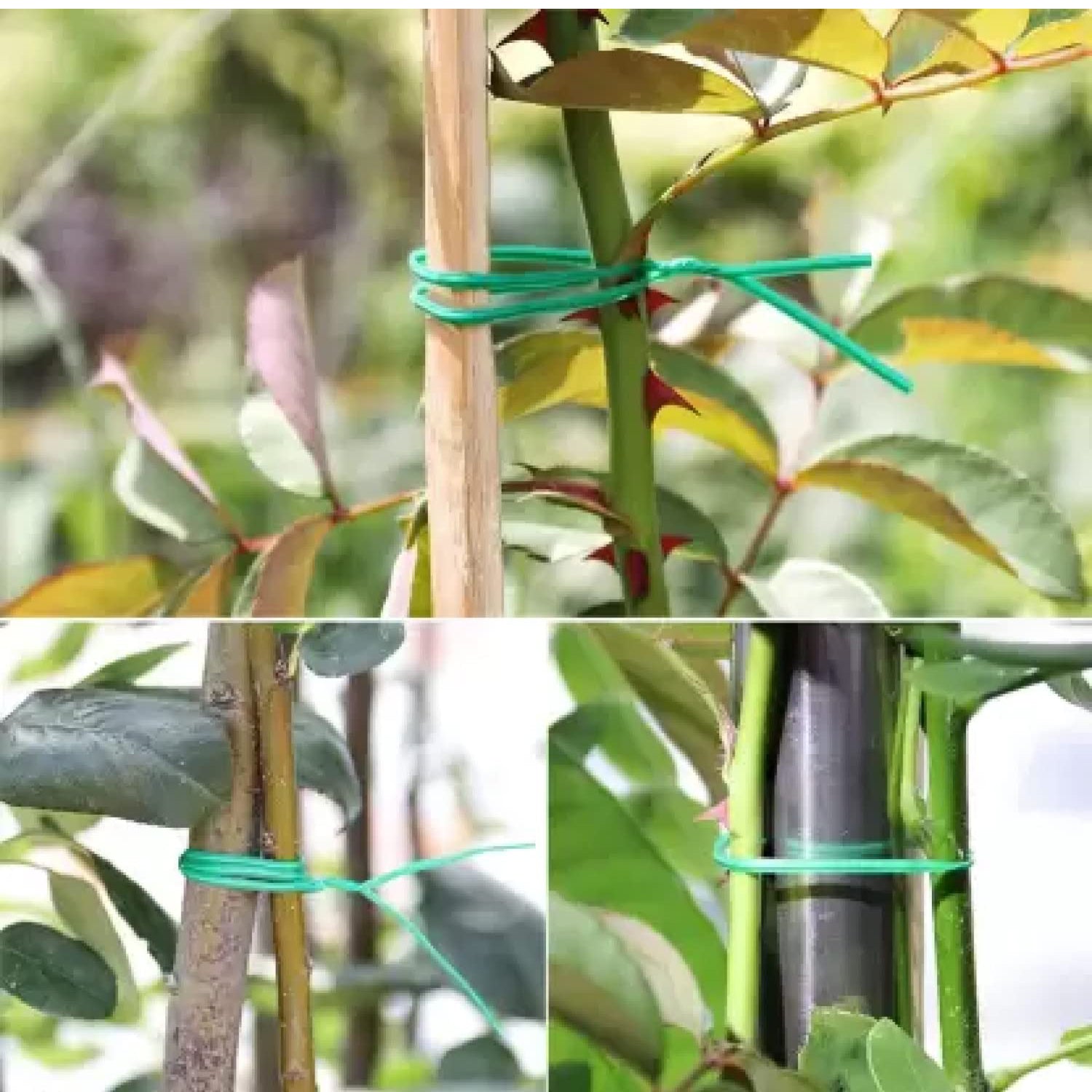 Garden Wire, Sturdy Plant Ties for Support, Garden Ties with Cutter for Tomatoes Vines, Plant Wire Tie Wire for Indoor, Outdoor, Home and Office Use (50 Mtr) Mihikart