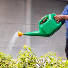 Large 5-liter plastic watering can with easy-to-use sprinkler head