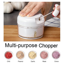 Manual Mini Food Processor Vegetable Chopper Hand Pull String Onion Chopper (1 Pc)