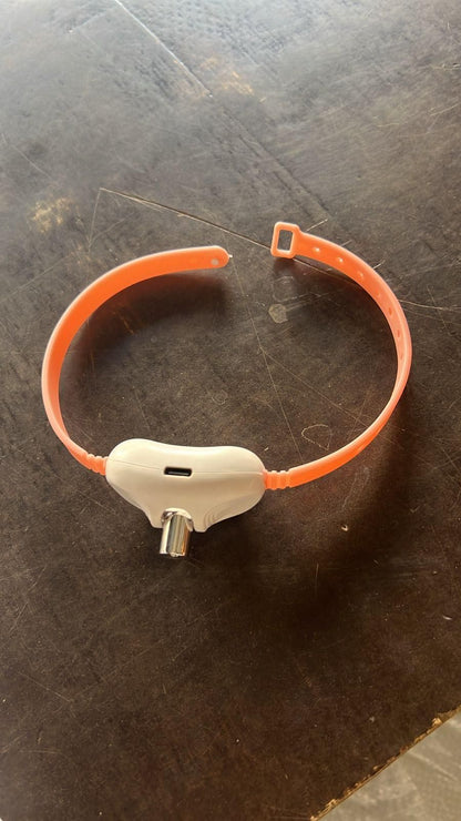 Pet Laser Collar Self Teasing Toy 5bb8c4-09
