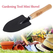 gardening tools including shovel and rake.