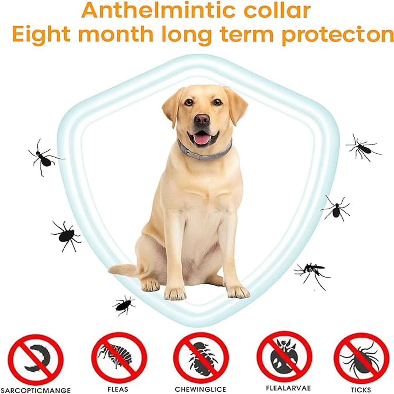 Dog Flea & Tick Protection Collar – 8 Month Long-Lasting, Adjustable & Waterproof ✅Trusted Seller