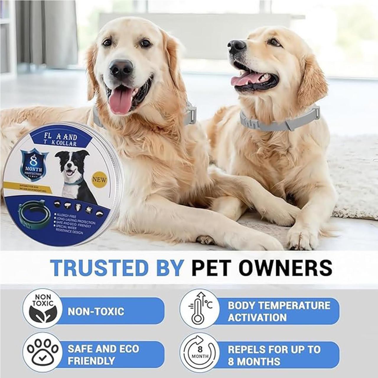 Dog Flea & Tick Protection Collar – 8 Month Long-Lasting, Adjustable & Waterproof ✅Trusted Seller