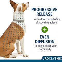 Dog Flea & Tick Protection Collar – 8 Month Long-Lasting, Adjustable & Waterproof ✅Trusted Seller