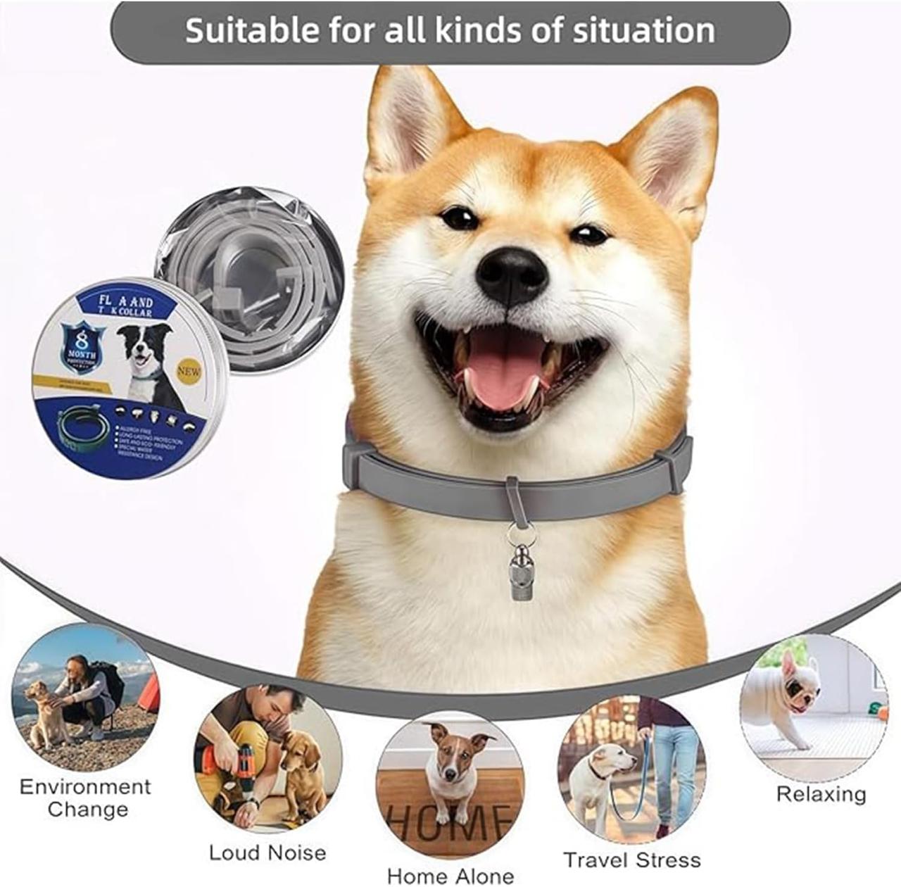Dog Flea & Tick Protection Collar – 8 Month Long-Lasting, Adjustable & Waterproof ✅Trusted Seller